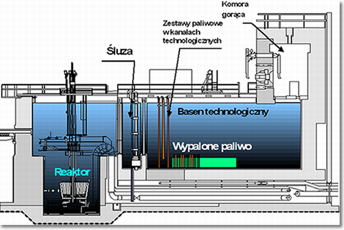 Przekrój reaktora MARIA i basenu technologicznego