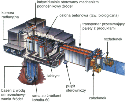 Obiekt radiacyjny wyposażony w źródła kobaltowe przeznaczony do napromieniania żywności